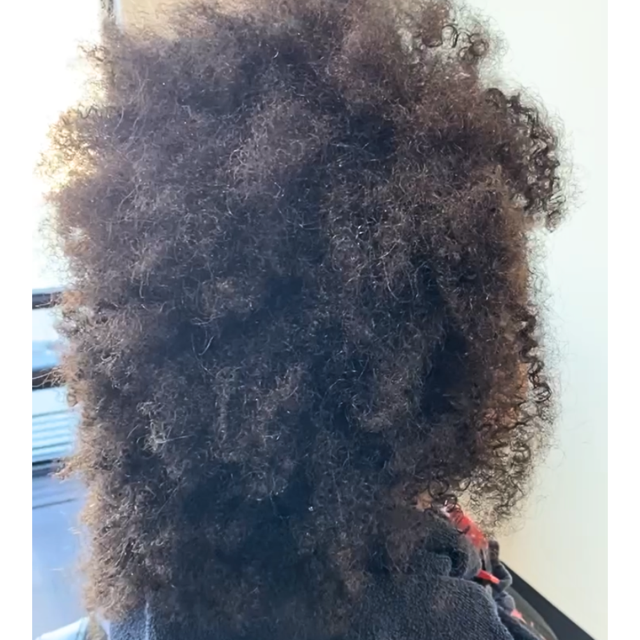 untitled design.png (2)