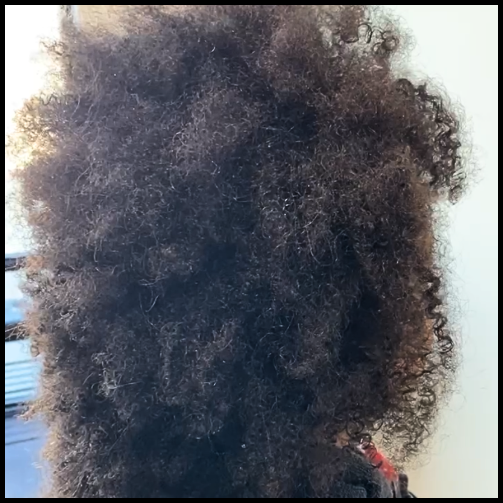 untitled (1000 x 1000 px) (3)