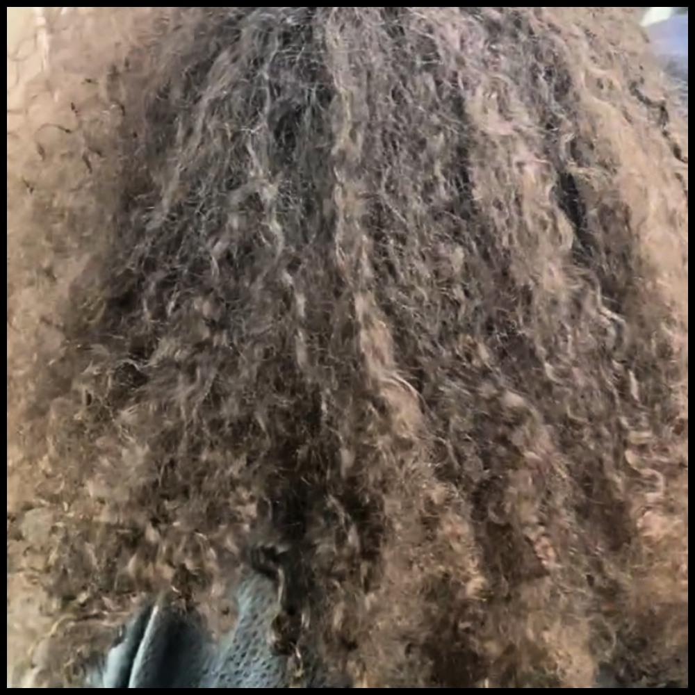 untitled (1000 x 1000 px) (5)