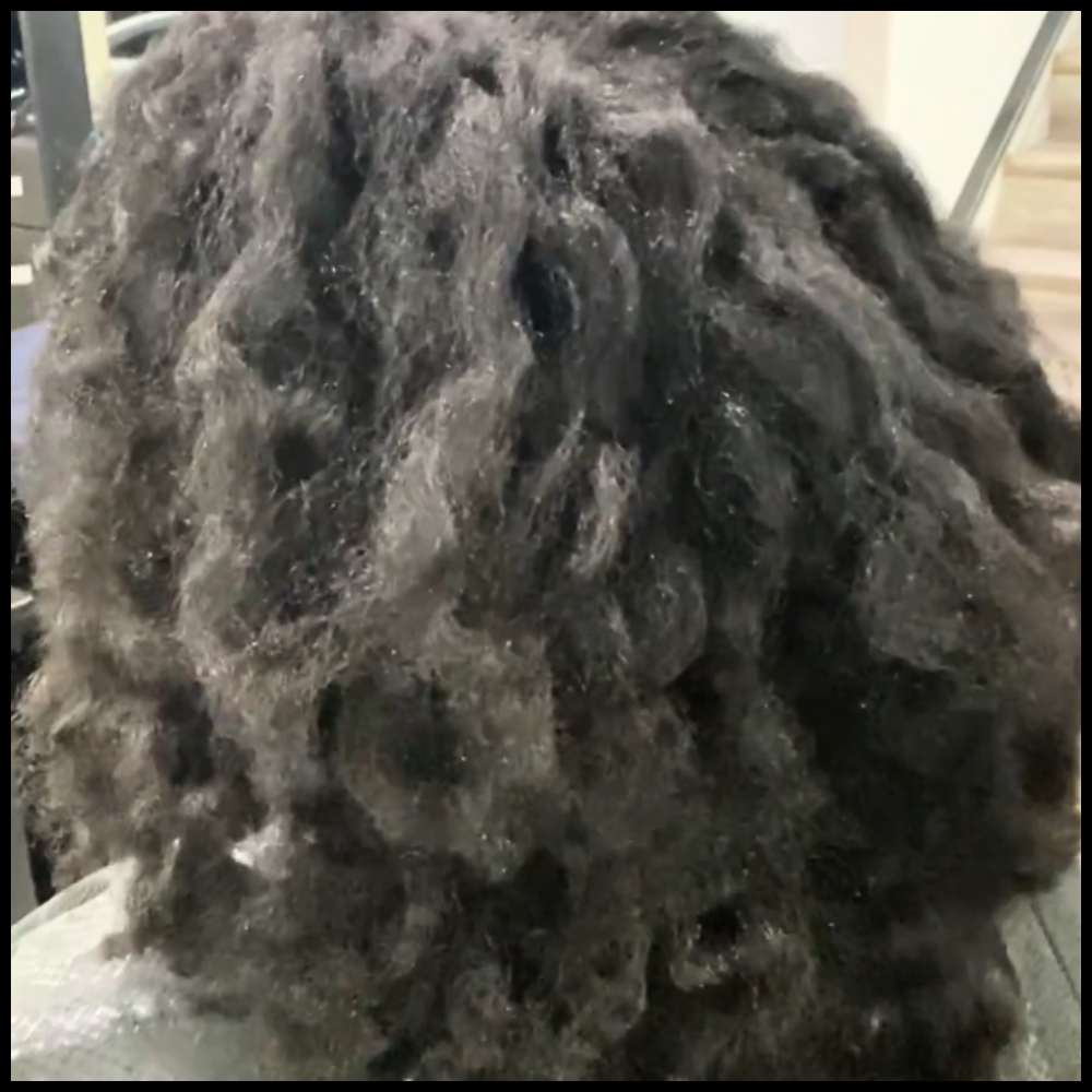 untitled (1000 x 1000 px)