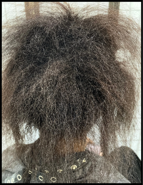 untitled design (37)