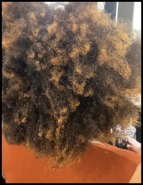 Hair Botox Treatment In Edmonton untitled design (48)